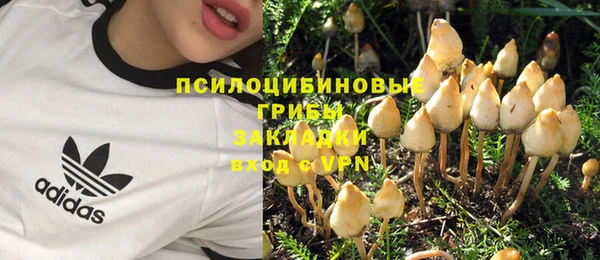 крисы Алексеевка